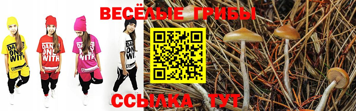 Галлюциногенные грибы GOLDEN TEACHER  Вход с VPN  Киселёвск 