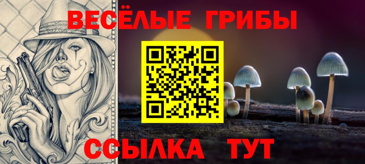 Галлюциногенные грибы ЛСД Киселёвск