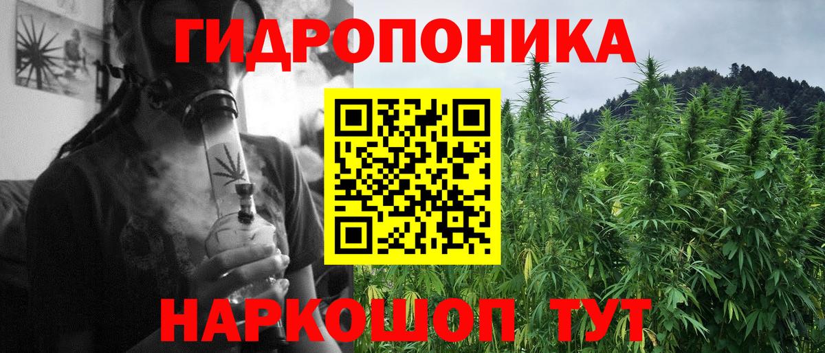 Меф  COCAIN  Купить закладку  LSD-25  КОКАИН  Вход с VPN  Гашиш  A-PVP СОЛЬ кристаллы  МЕФ   Киселёвск  ЭКСТАЗИ  ГАШ 